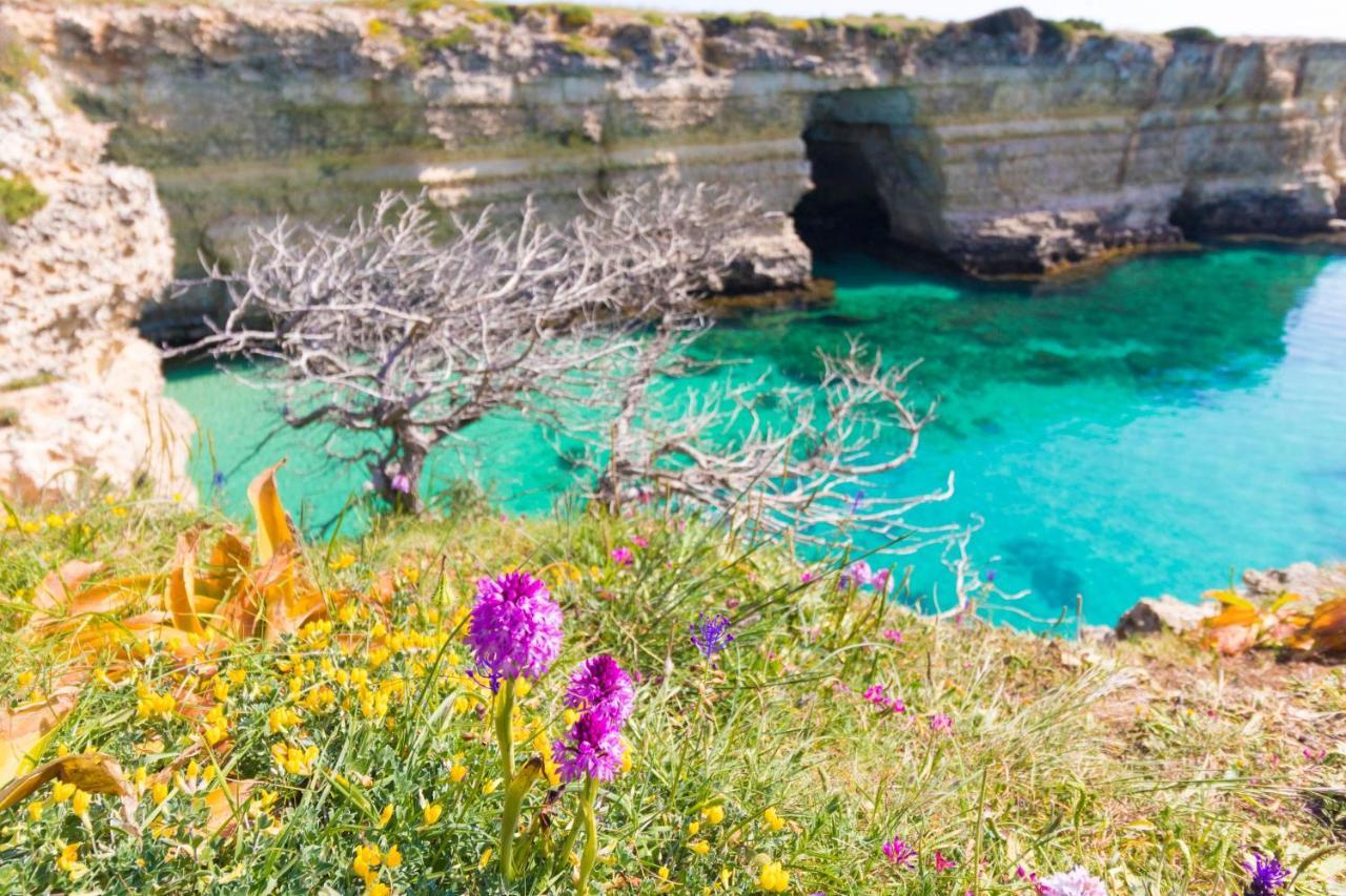 Casa vacanze Frida in Salento Otranto Exterior foto